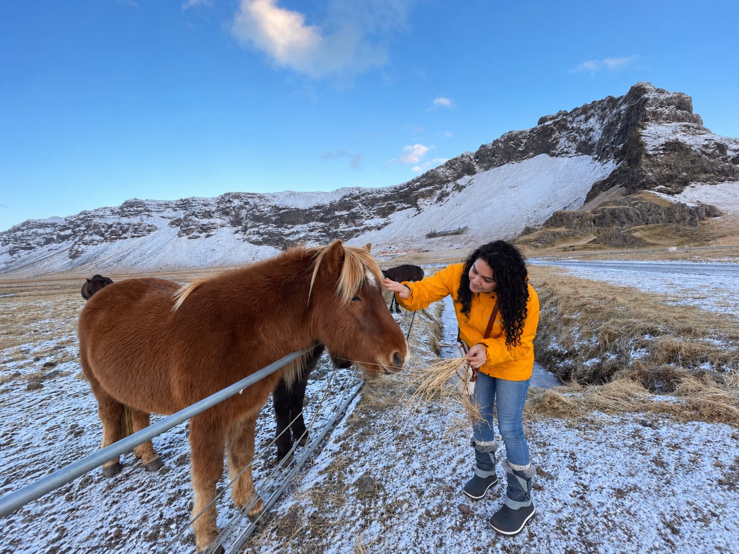 Corina petting a horse in a snowy mountain landscape